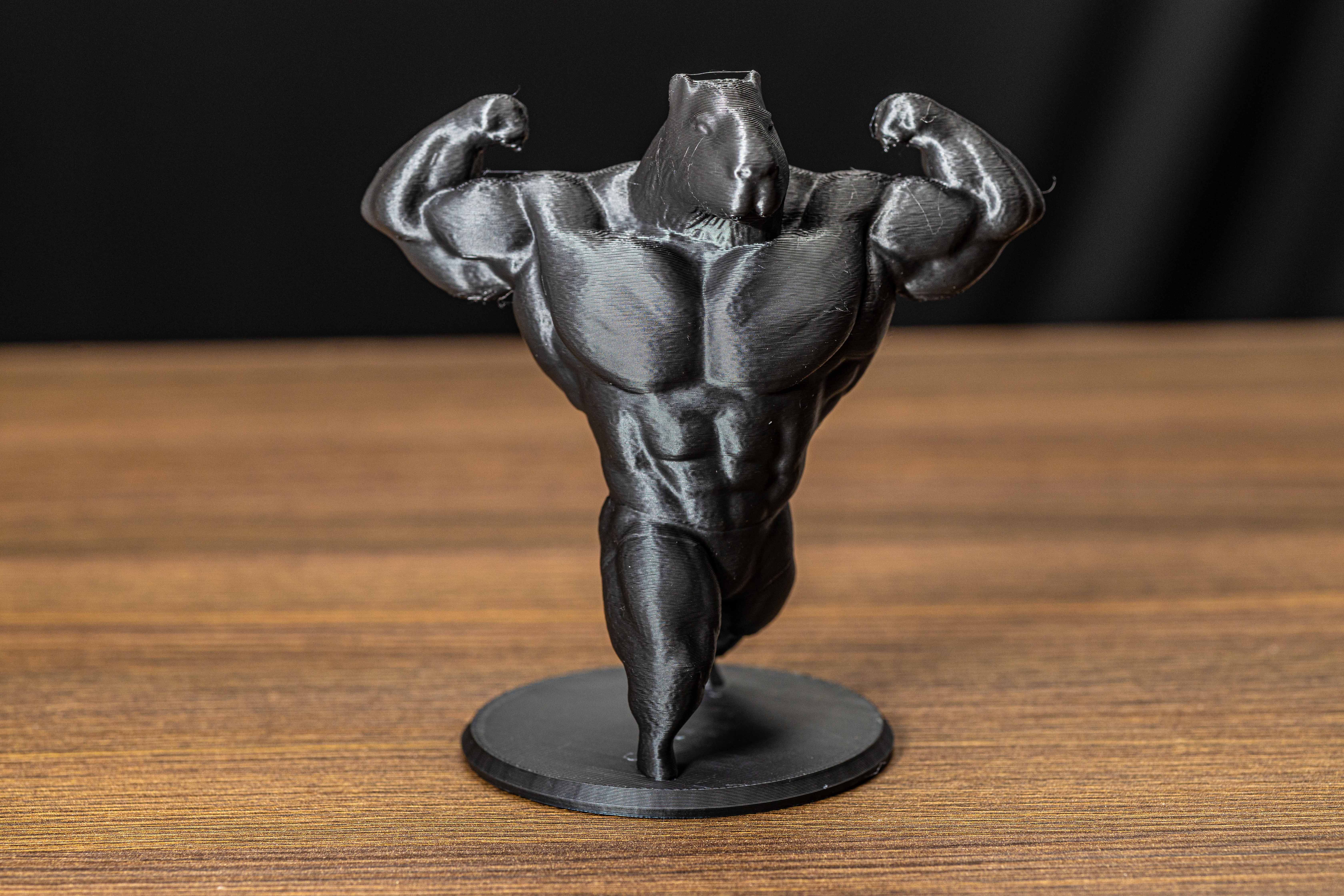 Capivara Bodybuilder — foto 1