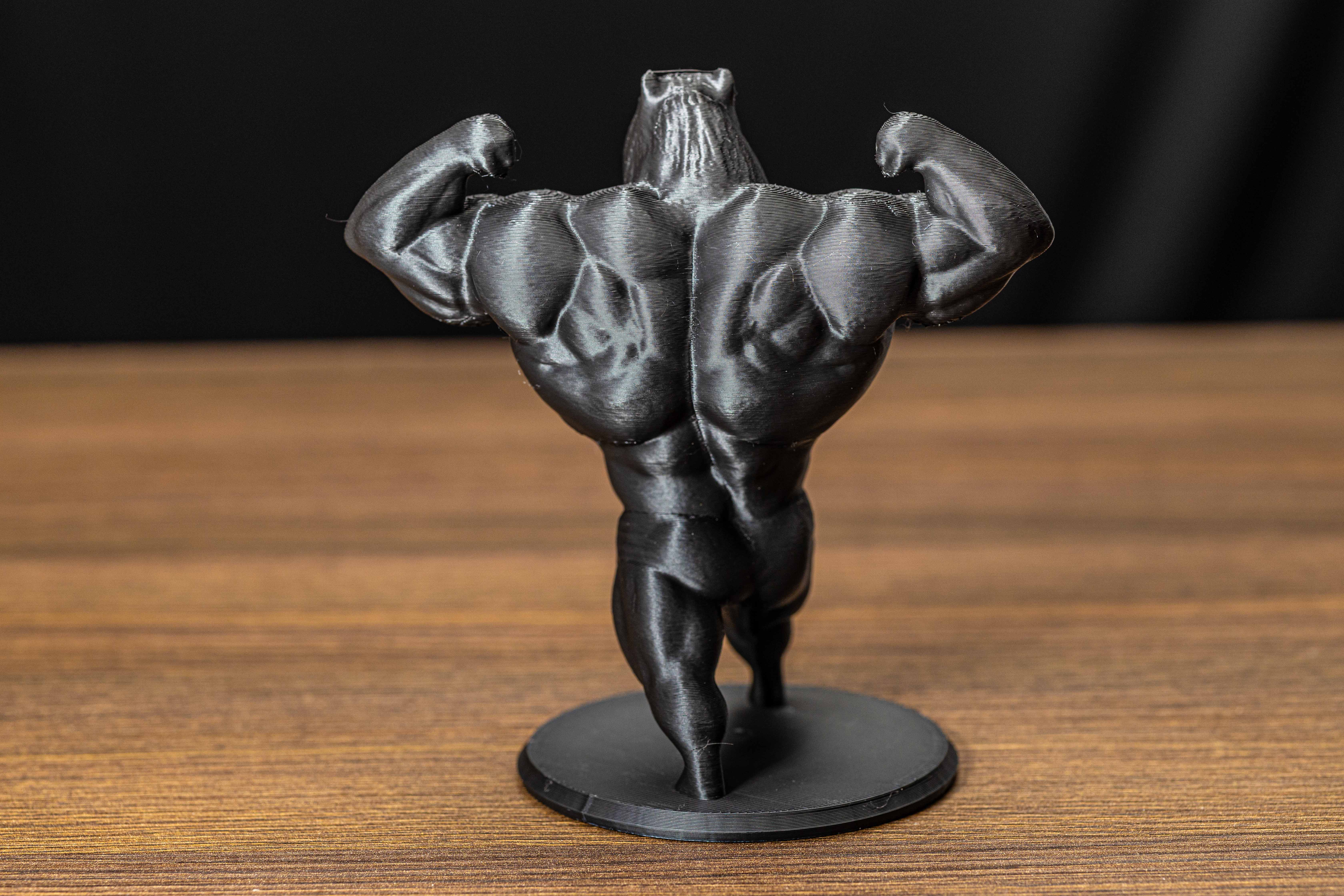 Capivara Bodybuilder — foto 2