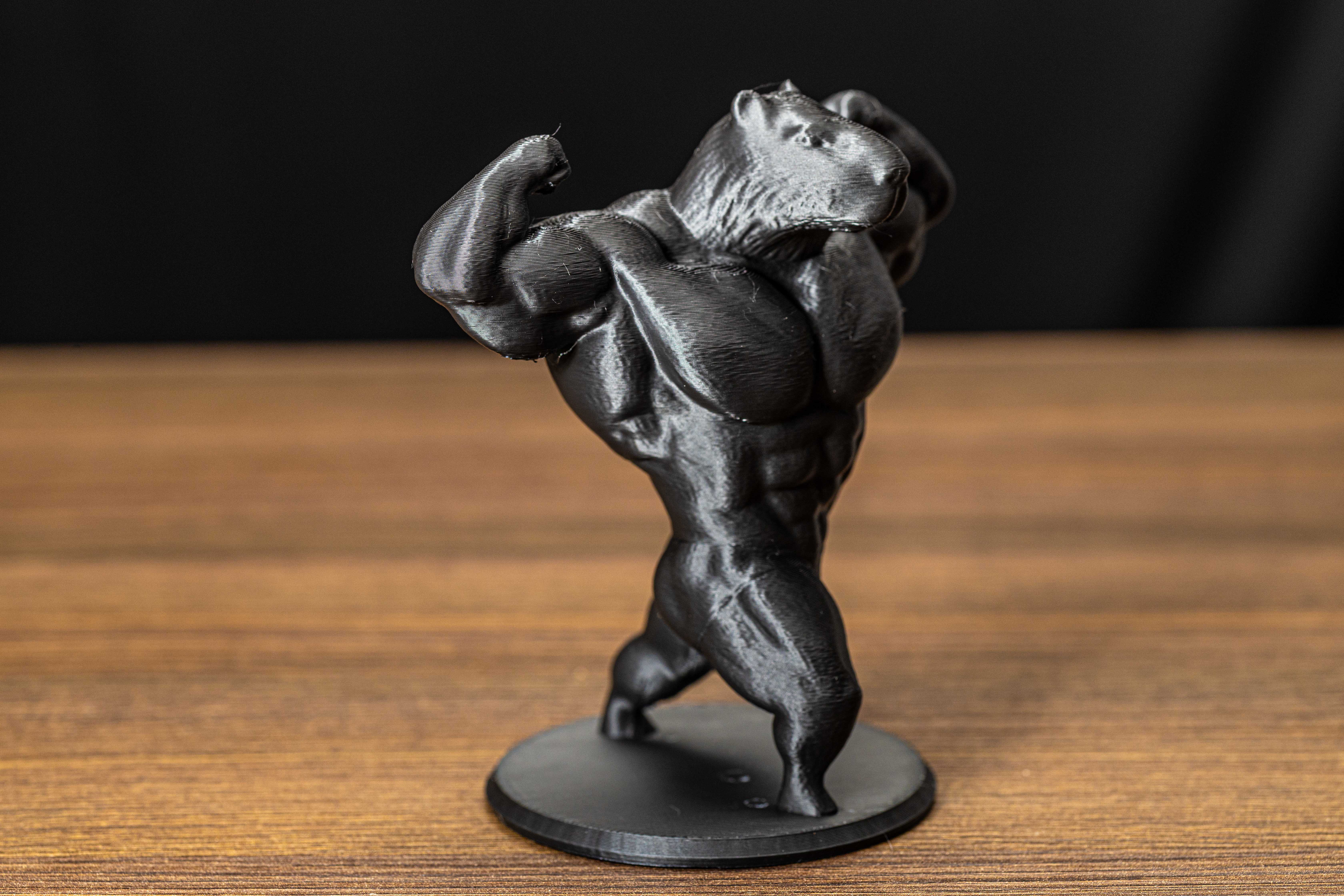 Capivara Bodybuilder — foto 3